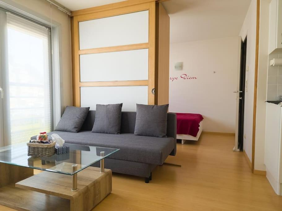 Cozy Studio With Pool Close To The Sea 奥斯滕德 外观 照片